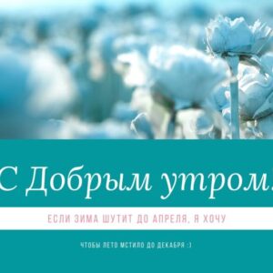 Прикольная зимняя открытка