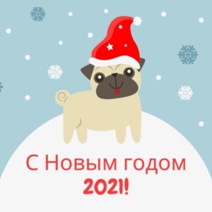 Открытка с Новым годом 2021 с щенком в колпачке